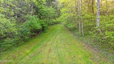 Tiny photo for 176 Hummingbird Lane, Sharps Chapel, TN 37866 (MLS # 1336219)