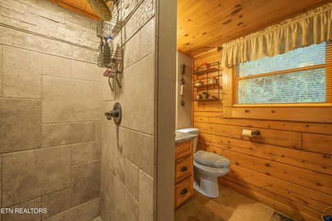 Tiny photo for 176 Hummingbird Lane, Sharps Chapel, TN 37866 (MLS # 1336219)