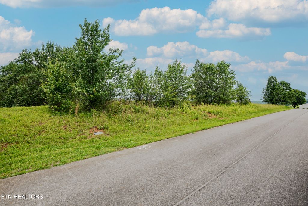 Photo of Marble Bluff Drive, Kingston, TN 37763 (MLS # 1301838)