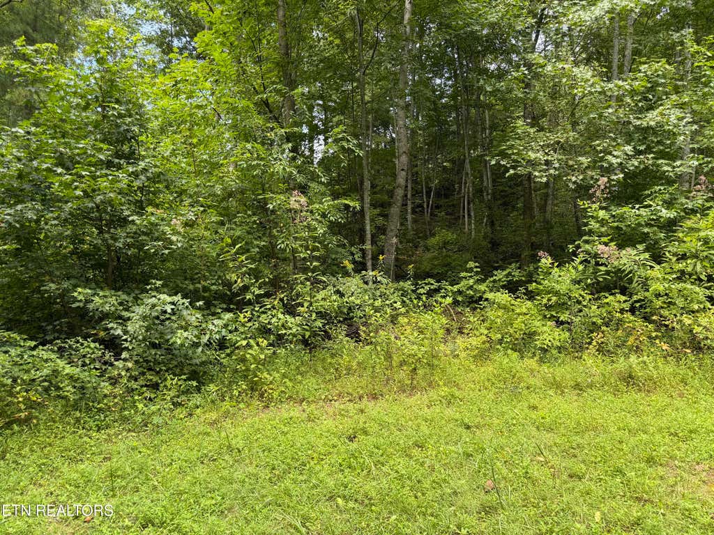 Photo of Coy Rhea Way #Lot 3 D, Sevierville, TN 37876 (MLS # 1352791)