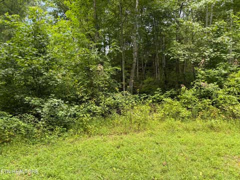 Photo of Coy Rhea Way #Lot 3 D, Sevierville, TN 37876 (MLS # 1352791)