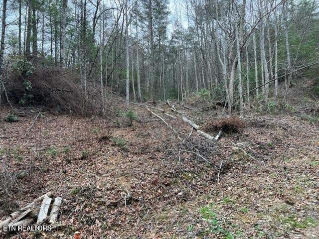 Photo of Coy Rhea Way #Lot 3 D, Sevierville, TN 37876 (MLS # 1352791)