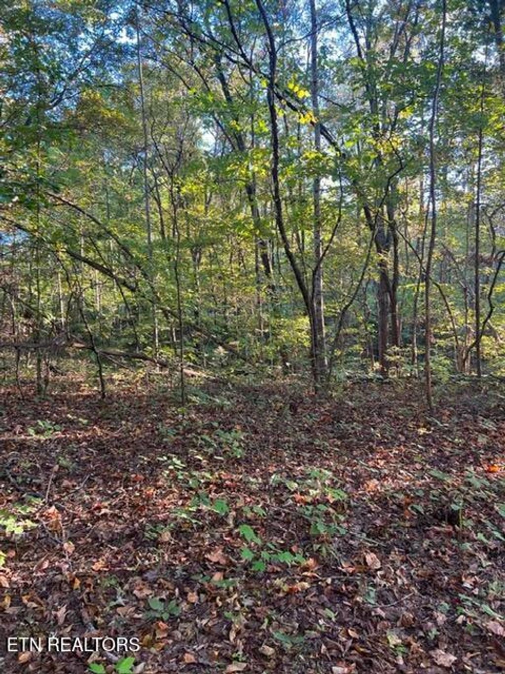 Photo of 196 Woodstock Drive #Lot 176, Rutledge, TN 37861 (MLS # 1348354)