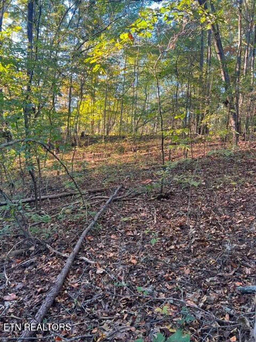 Photo of 196 Woodstock Drive #Lot 176, Rutledge, TN 37861 (MLS # 1348354)