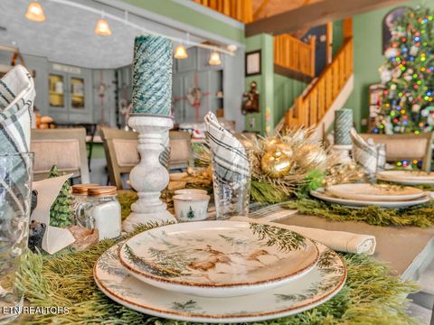 Tiny photo for 726 Highway 107, Del Rio, TN 37727 (MLS # 1324522)