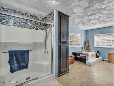 Tiny photo for 726 Highway 107, Del Rio, TN 37727 (MLS # 1324522)