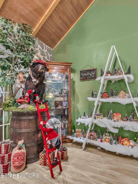 Tiny photo for 726 Highway 107, Del Rio, TN 37727 (MLS # 1324522)