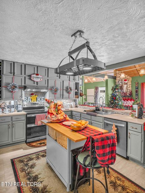 Tiny photo for 726 Highway 107, Del Rio, TN 37727 (MLS # 1324522)