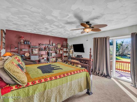 Tiny photo for 726 Highway 107, Del Rio, TN 37727 (MLS # 1324522)