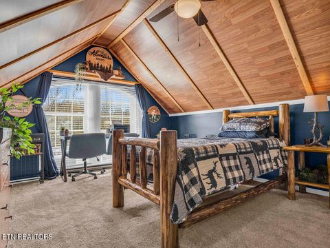 Tiny photo for 726 Highway 107, Del Rio, TN 37727 (MLS # 1324522)