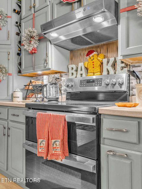 Tiny photo for 726 Highway 107, Del Rio, TN 37727 (MLS # 1324522)