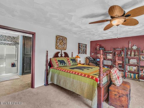 Tiny photo for 726 Highway 107, Del Rio, TN 37727 (MLS # 1324522)