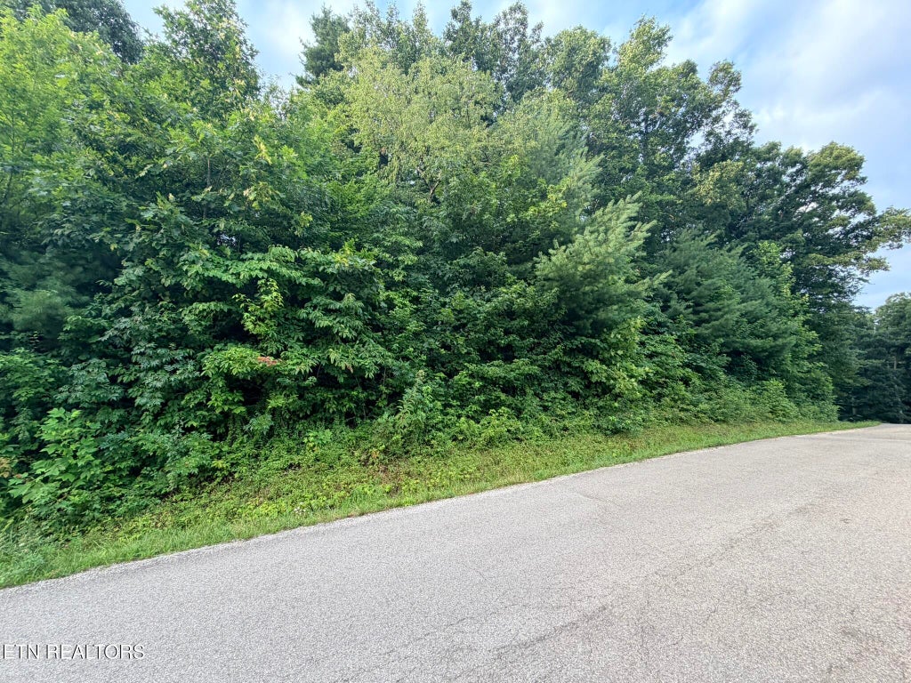 Photo of Lot 1 Evergreen Drive, Oneida, TN 37841 (MLS # 1310672)
