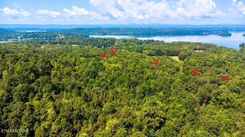 Tiny photo for 3 Pleasant Hill, Ten Mile, TN 37880 (MLS # 1332708)