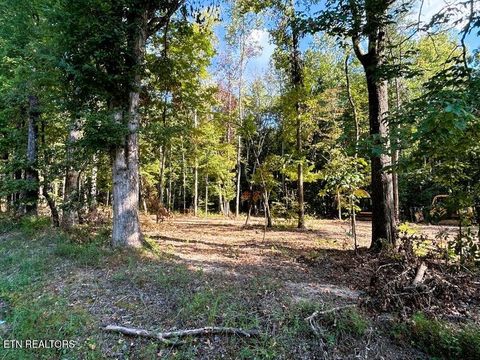 Tiny photo for 3 Pleasant Hill, Ten Mile, TN 37880 (MLS # 1332708)