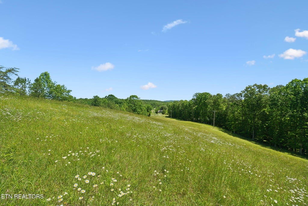 Photo of 00 Lot 9 &amp; 10 Big Neck Rd, Grandview, TN 37337 (MLS # 1302243)