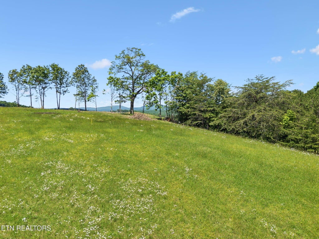 Photo of 00 Lot 9 &amp; 10 Big Neck Rd, Grandview, TN 37337 (MLS # 1302243)