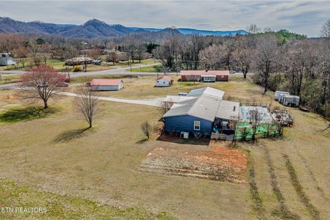 Tiny photo for 205 County Road 500, Englewood, TN 37329 (MLS # 1317468)
