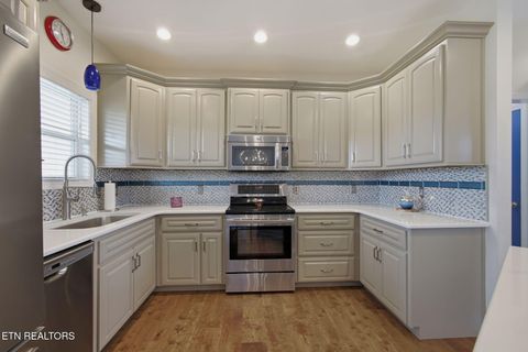 Tiny photo for 1977 Rays Gap Rd, Sevierville, TN 37876 (MLS # 1349326)