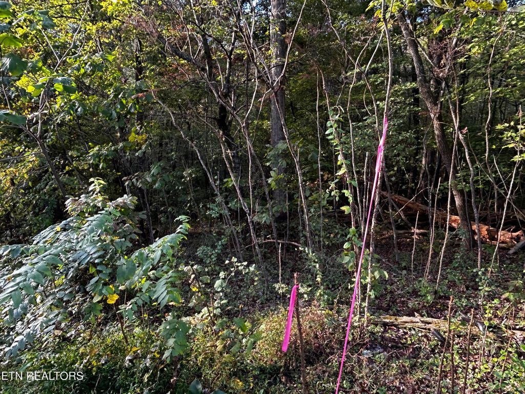 Photo of 14 Trenton Lane, Clinton, TN 37716 (MLS # 1319941)