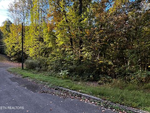 Photo of 14 Trenton Lane, Clinton, TN 37716 (MLS # 1319941)