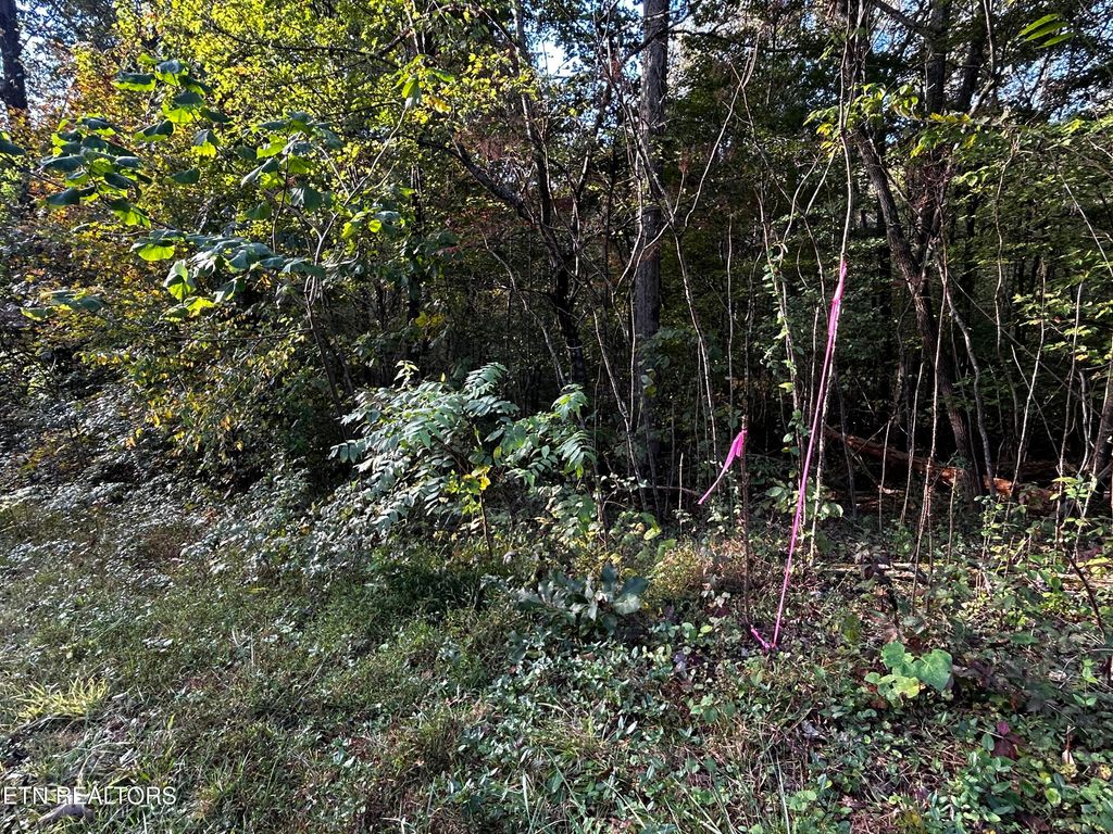 Photo of 14 Trenton Lane, Clinton, TN 37716 (MLS # 1319941)