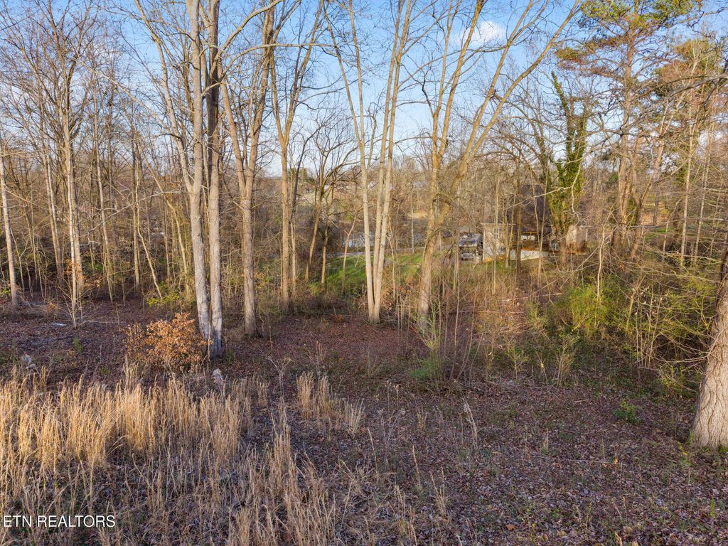 Photo of 39 Idlewild Drive, White Pine, TN 37890 (MLS # 1330688)