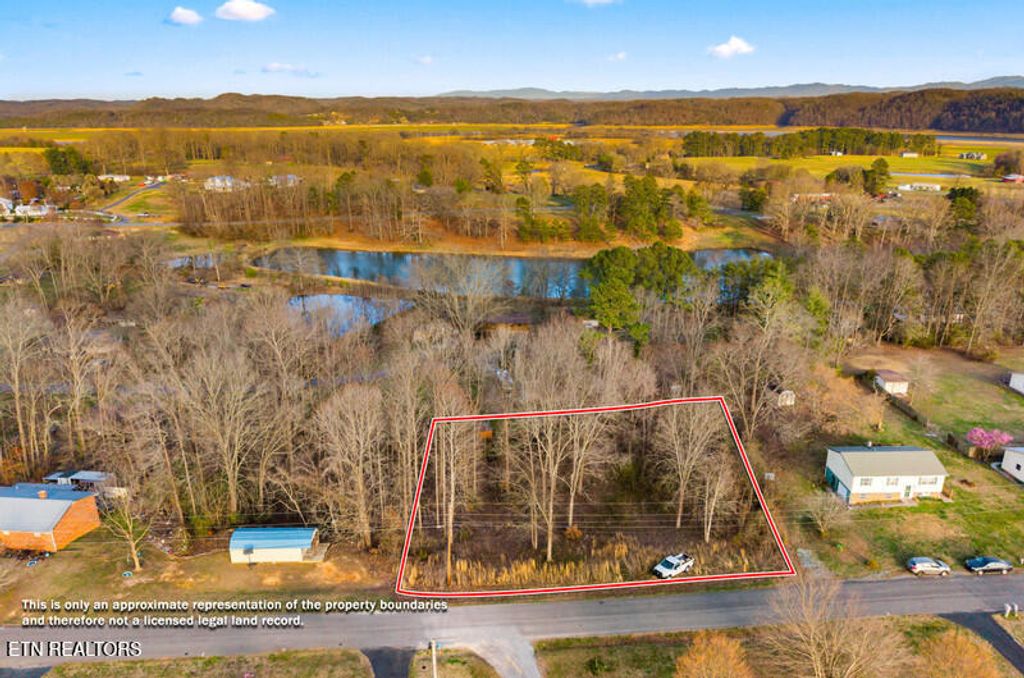 Photo of 39 Idlewild Drive, White Pine, TN 37890 (MLS # 1330688)