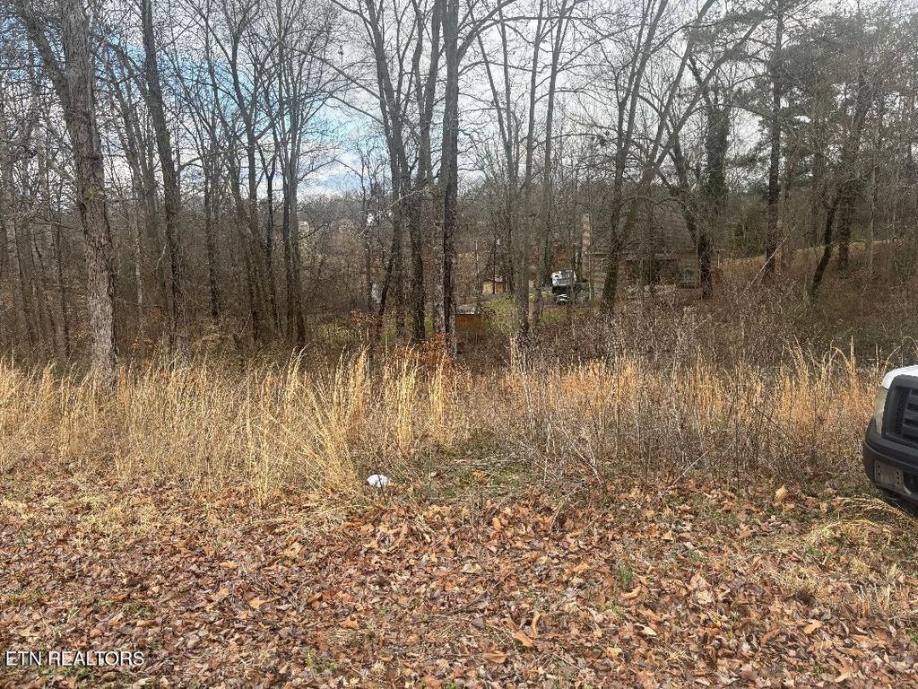 Photo of 39 Idlewild Drive, White Pine, TN 37890 (MLS # 1330688)