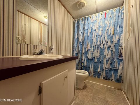 Tiny photo for 2654 Holt Town Rd, Newport, TN 37821 (MLS # 1317085)