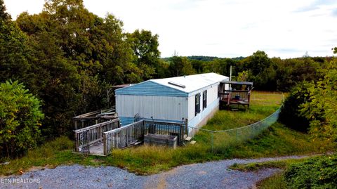 Tiny photo for 2654 Holt Town Rd, Newport, TN 37821 (MLS # 1317085)