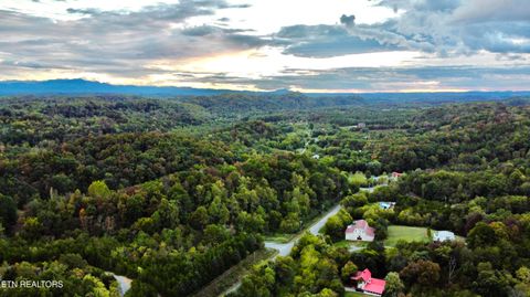 Tiny photo for 2654 Holt Town Rd, Newport, TN 37821 (MLS # 1317085)