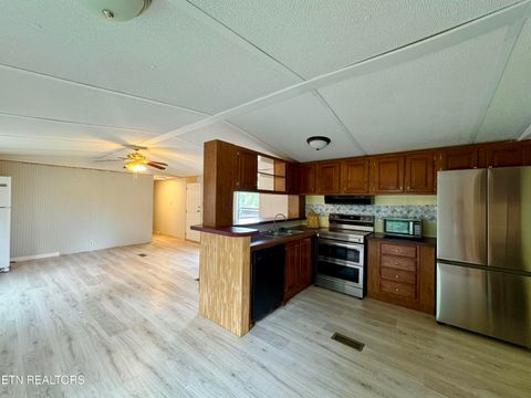 Tiny photo for 2654 Holt Town Rd, Newport, TN 37821 (MLS # 1317085)