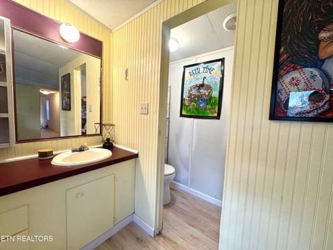 Tiny photo for 2654 Holt Town Rd, Newport, TN 37821 (MLS # 1317085)