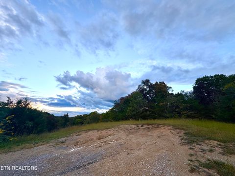 Tiny photo for 2654 Holt Town Rd, Newport, TN 37821 (MLS # 1317085)