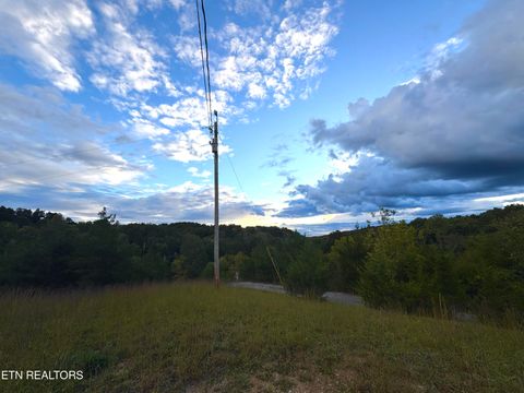Tiny photo for 2654 Holt Town Rd, Newport, TN 37821 (MLS # 1317085)