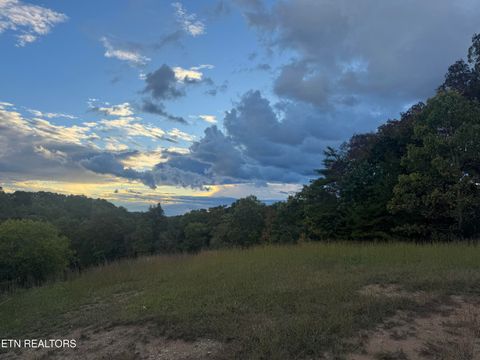 Tiny photo for 2654 Holt Town Rd, Newport, TN 37821 (MLS # 1317085)