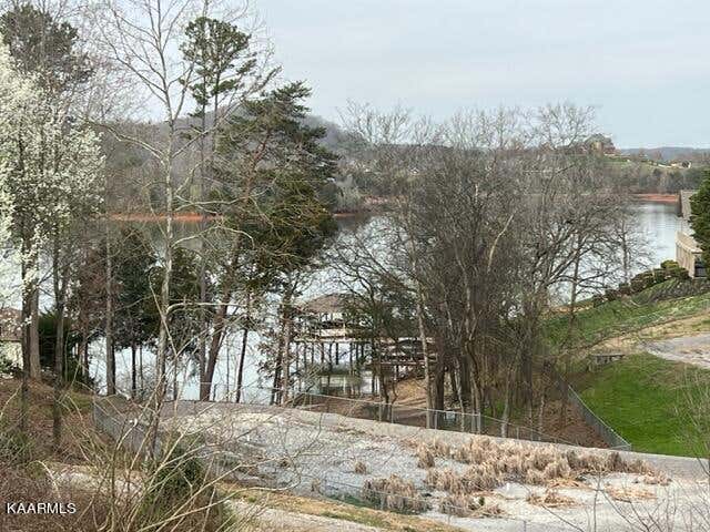 Photo of 306 Southshore Drive, Greenback, TN 37742 (MLS # 1219228)