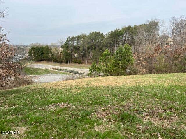 Photo of 306 Southshore Drive, Greenback, TN 37742 (MLS # 1219228)