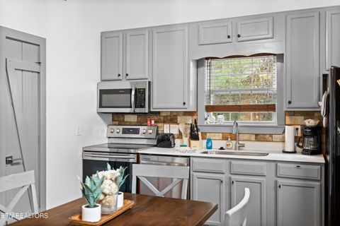 Tiny photo for 516 Clearwater Circle, Townsend, TN 37882 (MLS # 1335595)