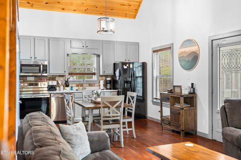 Tiny photo for 516 Clearwater Circle, Townsend, TN 37882 (MLS # 1335595)