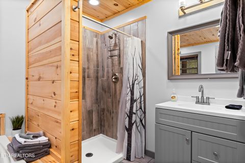 Tiny photo for 516 Clearwater Circle, Townsend, TN 37882 (MLS # 1335595)