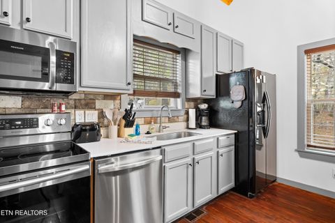 Tiny photo for 516 Clearwater Circle, Townsend, TN 37882 (MLS # 1335595)