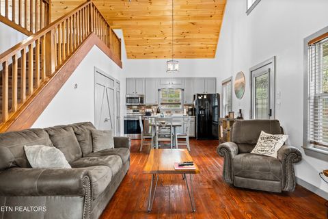 Tiny photo for 516 Clearwater Circle, Townsend, TN 37882 (MLS # 1335595)