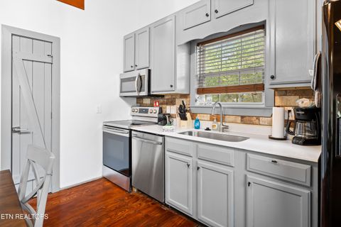 Tiny photo for 516 Clearwater Circle, Townsend, TN 37882 (MLS # 1335595)