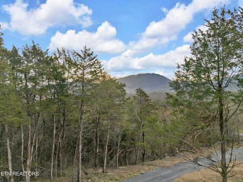 184 Tazewell Pike Luttrell TN 37779