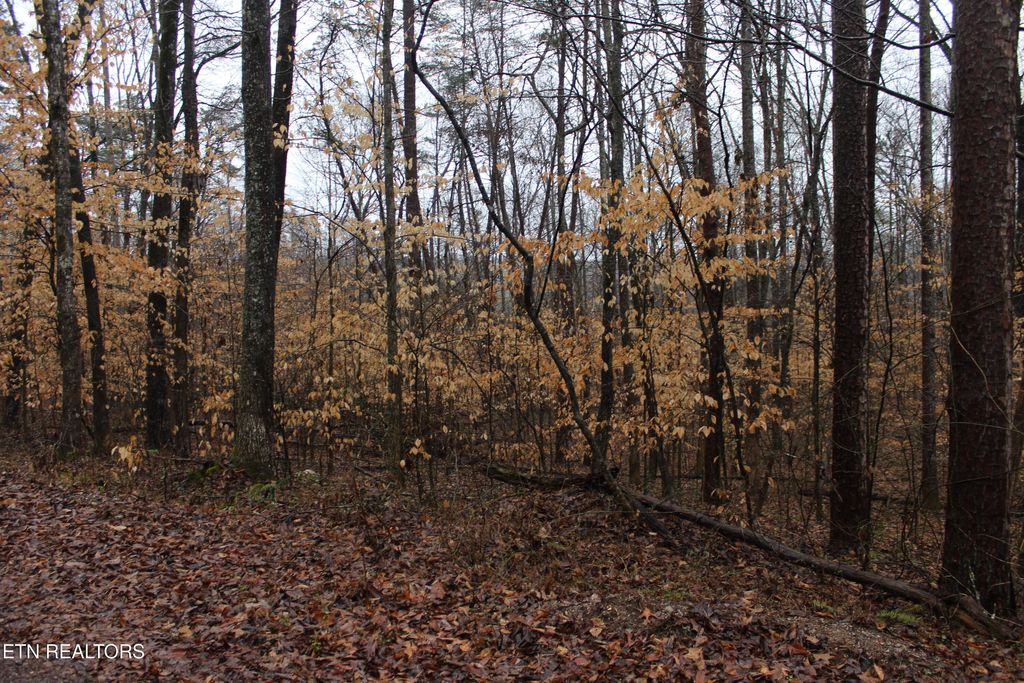 Photo of Songbird Lane, Maynardville, TN 37807 (MLS # 1289730)
