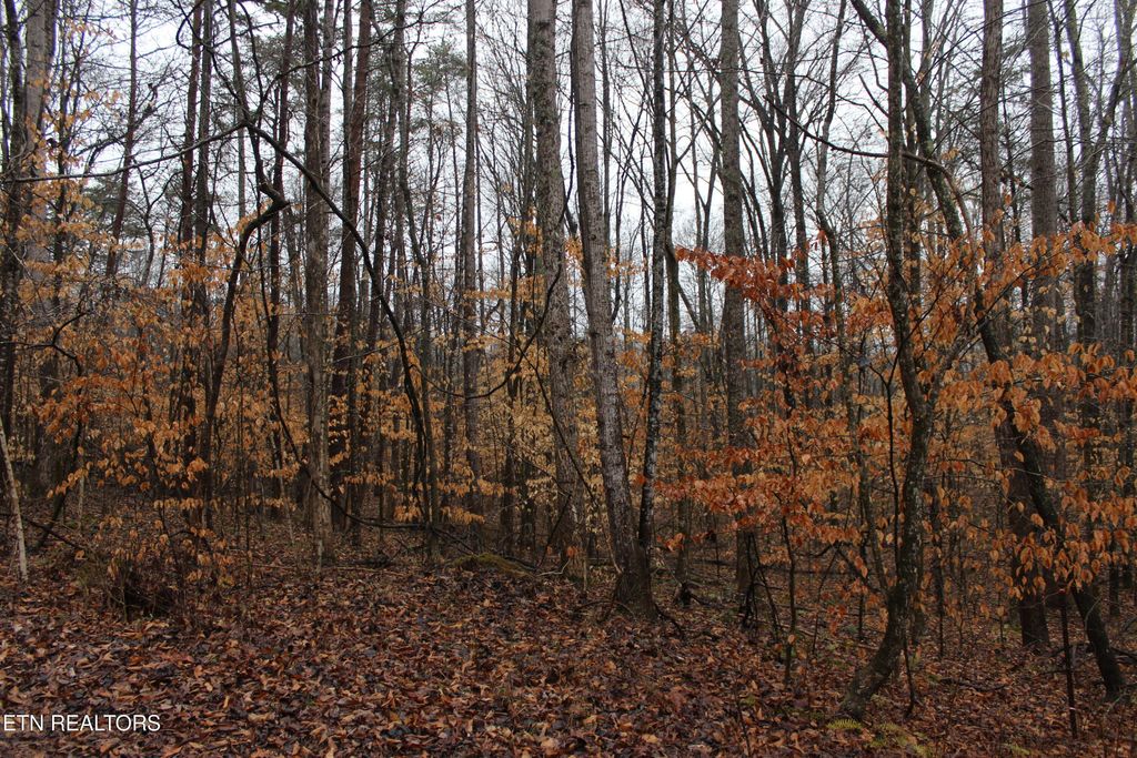 Photo of Songbird Lane, Maynardville, TN 37807 (MLS # 1289730)