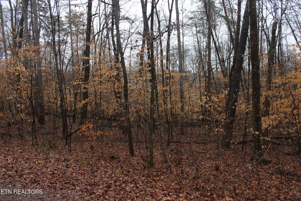 Photo of Songbird Lane, Maynardville, TN 37807 (MLS # 1289730)