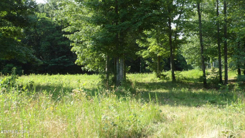 Photo of 1387 Pleasant Cemetery Lane LN, Gainesboro, TN 38562 (MLS # 1345961)